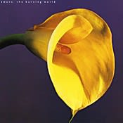 Swans The Burning World