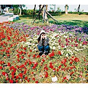 銀杏BOYZ 光のなかに立っていてね