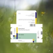 Spiritualized Everything Was Beautiful