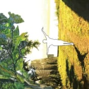 The Brave Little Abacus Masked Dancers: concern in so many things you forget where you are