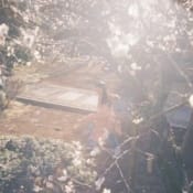 カネコアヤノ ひかれあい