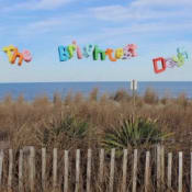 Origami Angel The Brightest Days