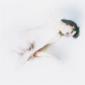 Lauren Auder the infinite spine