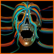 Osees Intercepted Message