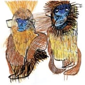 La Jungle Blurry Landscapes