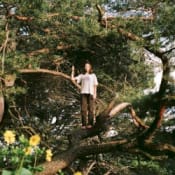 PACKS Melt the Honey