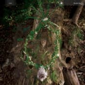 Pharmakon Maggot Mass