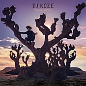 DJ Koze Knock Knock