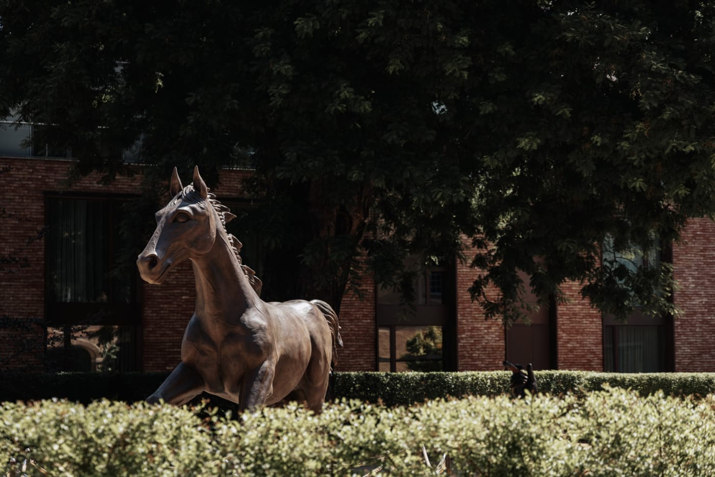 A horse sculpture in the garden of the Haras courtyard