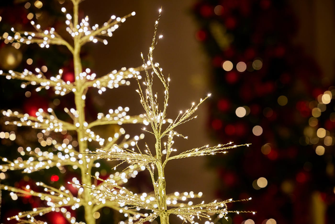 Die beleuchteten Bäume der Weihnachtsdekoration im Lanesborough