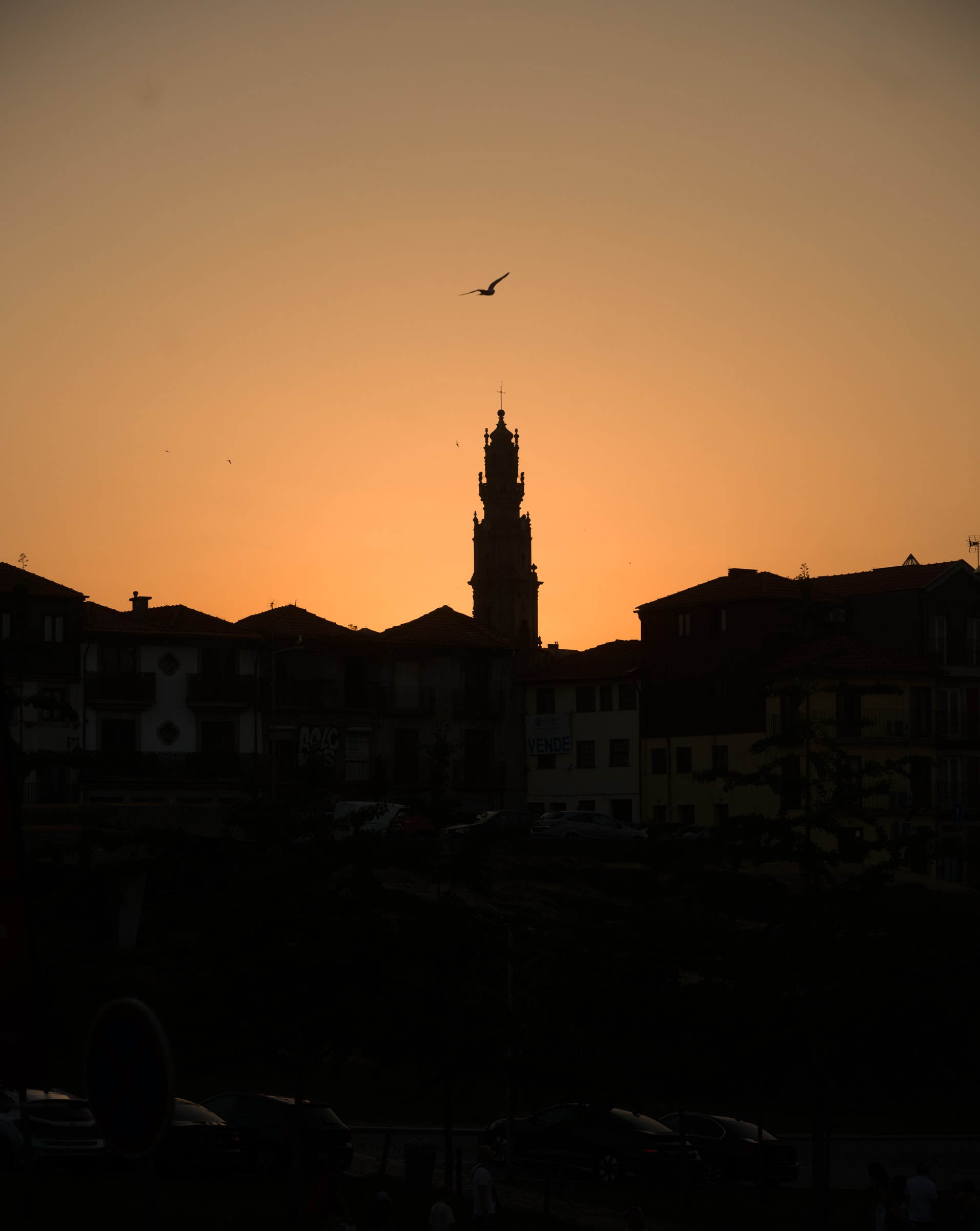 B0005037.jpg