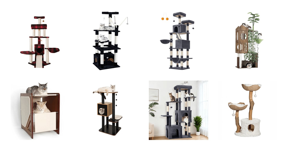The 10 Best Cat Trees for Large Breeds in 2026