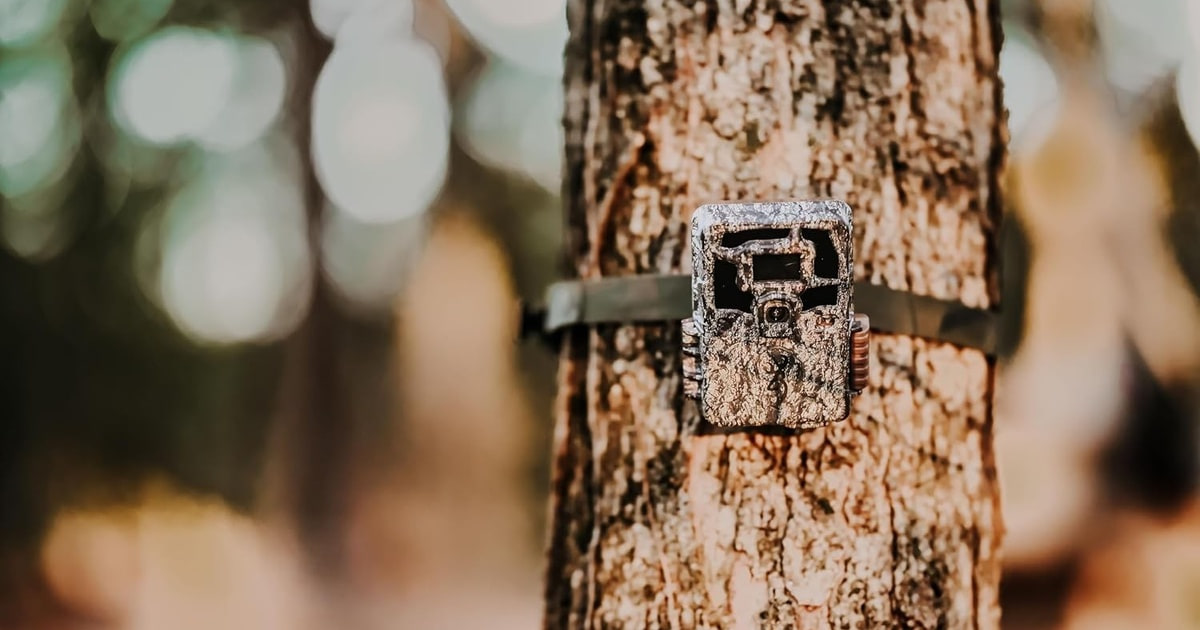 The 10 Best Trail Cameras for Wildlife Photography in 2026