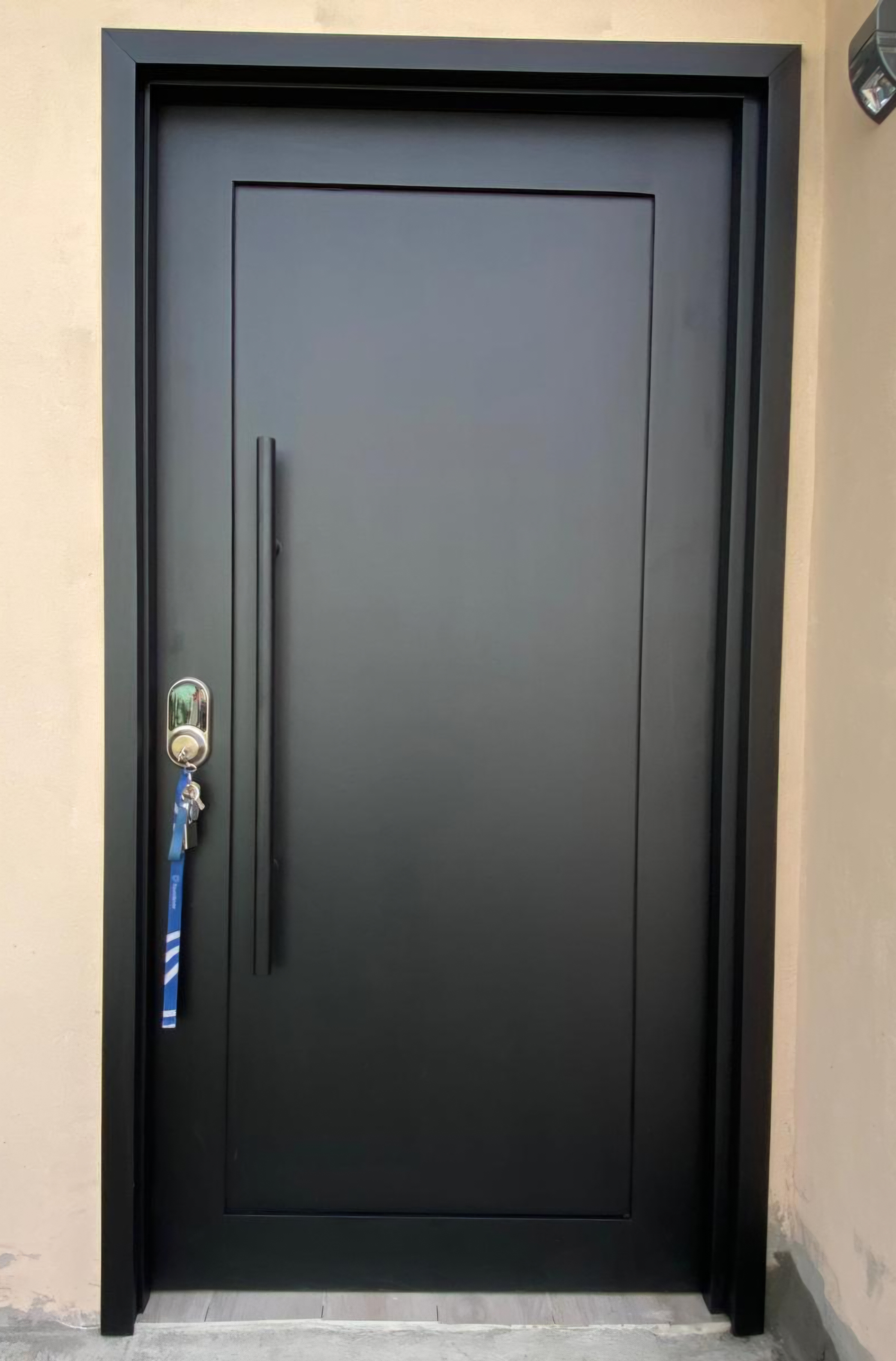 Puerta Principal  2