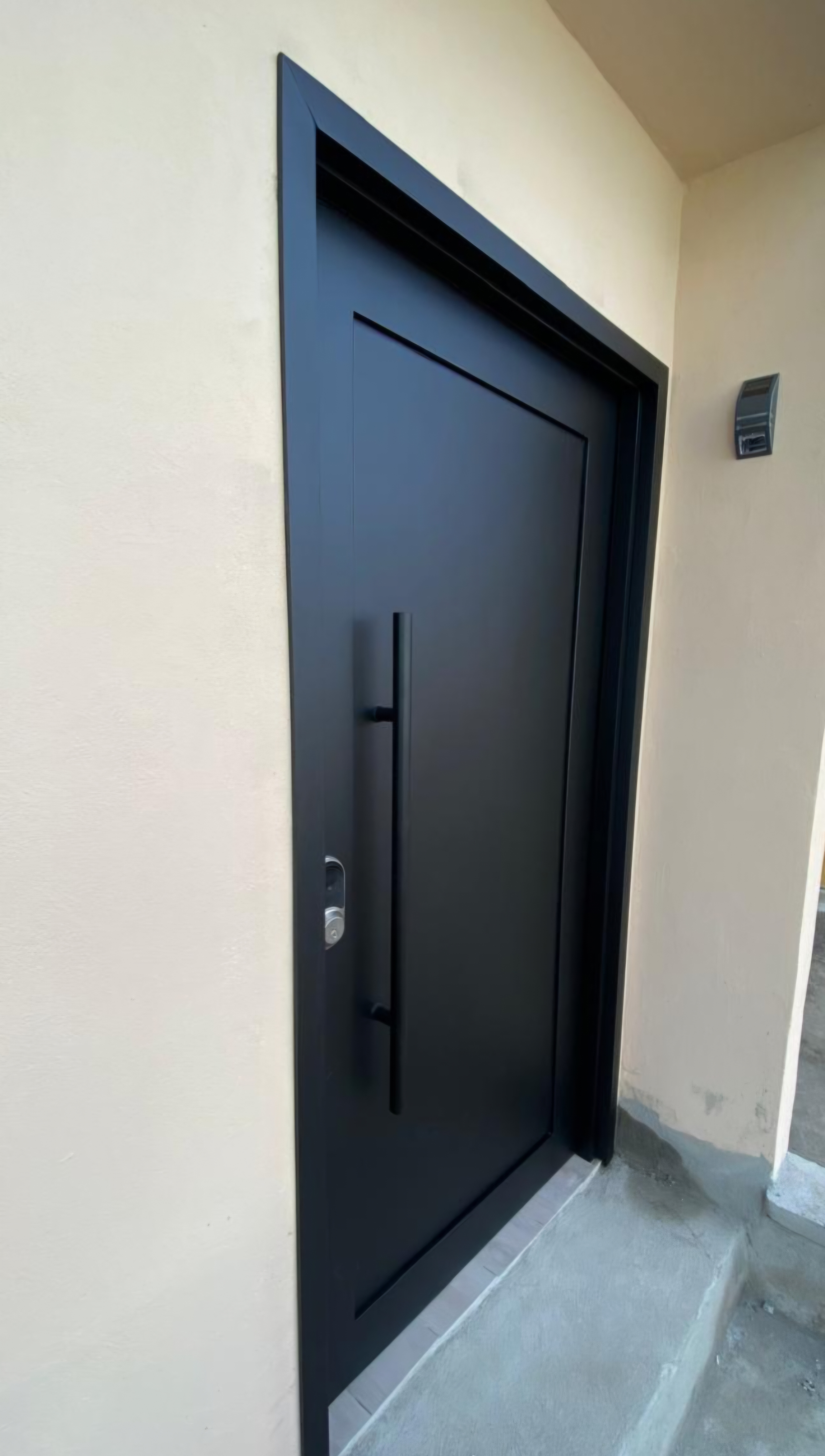 Puerta Principal  3
