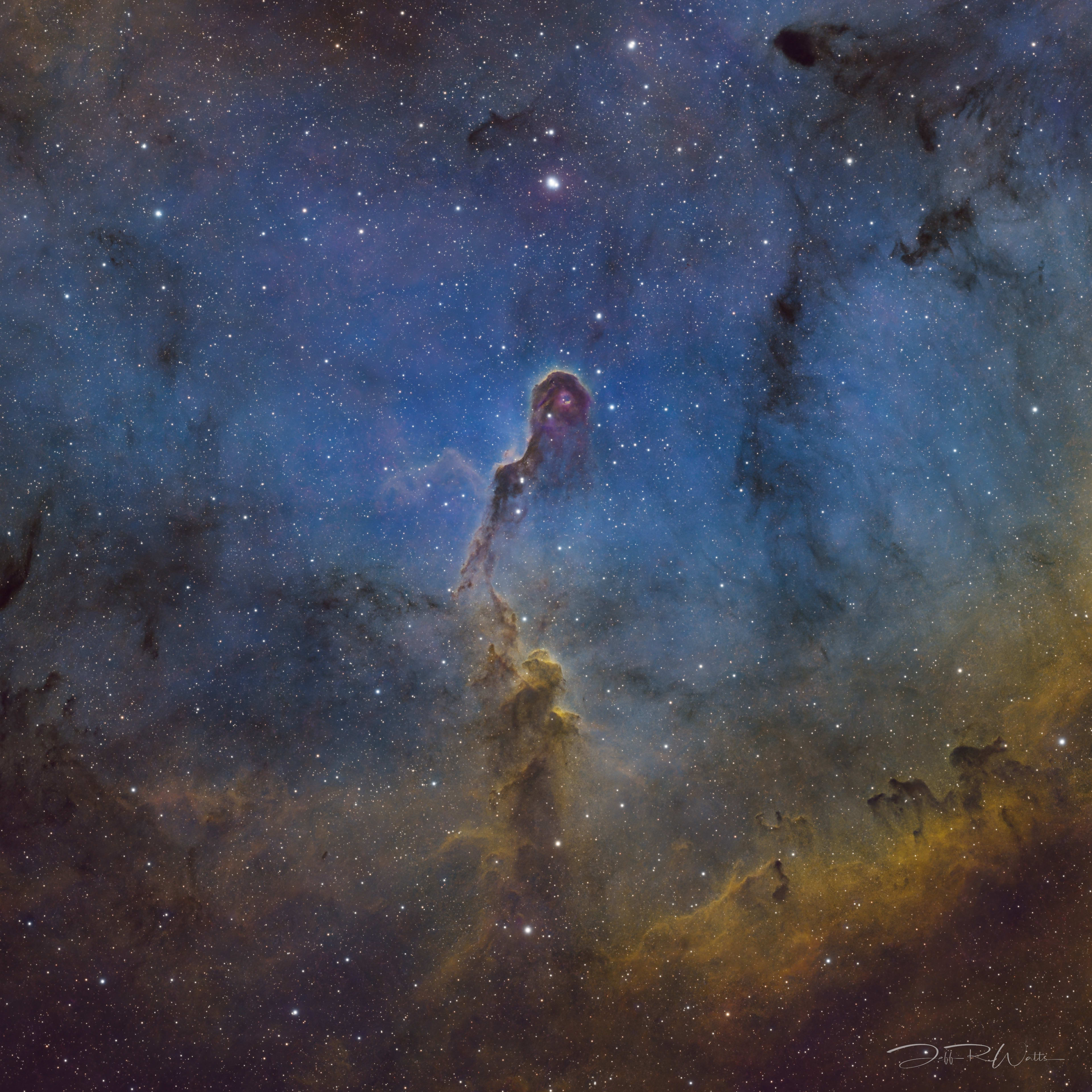 IC 1396 - Elephant Trunk Nebula - trunk