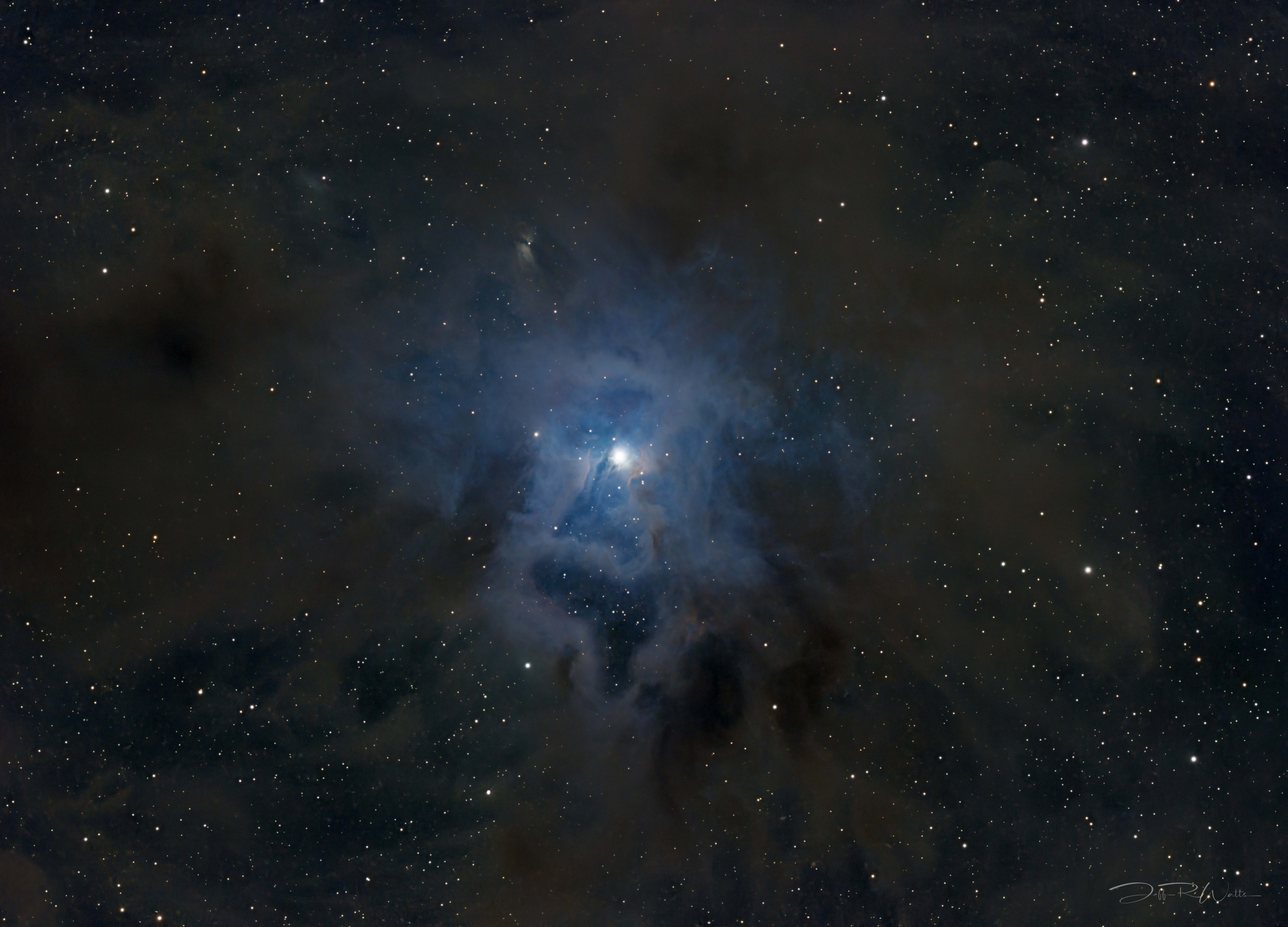 NGC 7023 - Iris Nebula