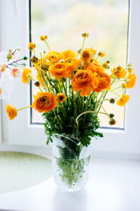 Photo of Yellow Flowers in a Glass Vase Next to a Window