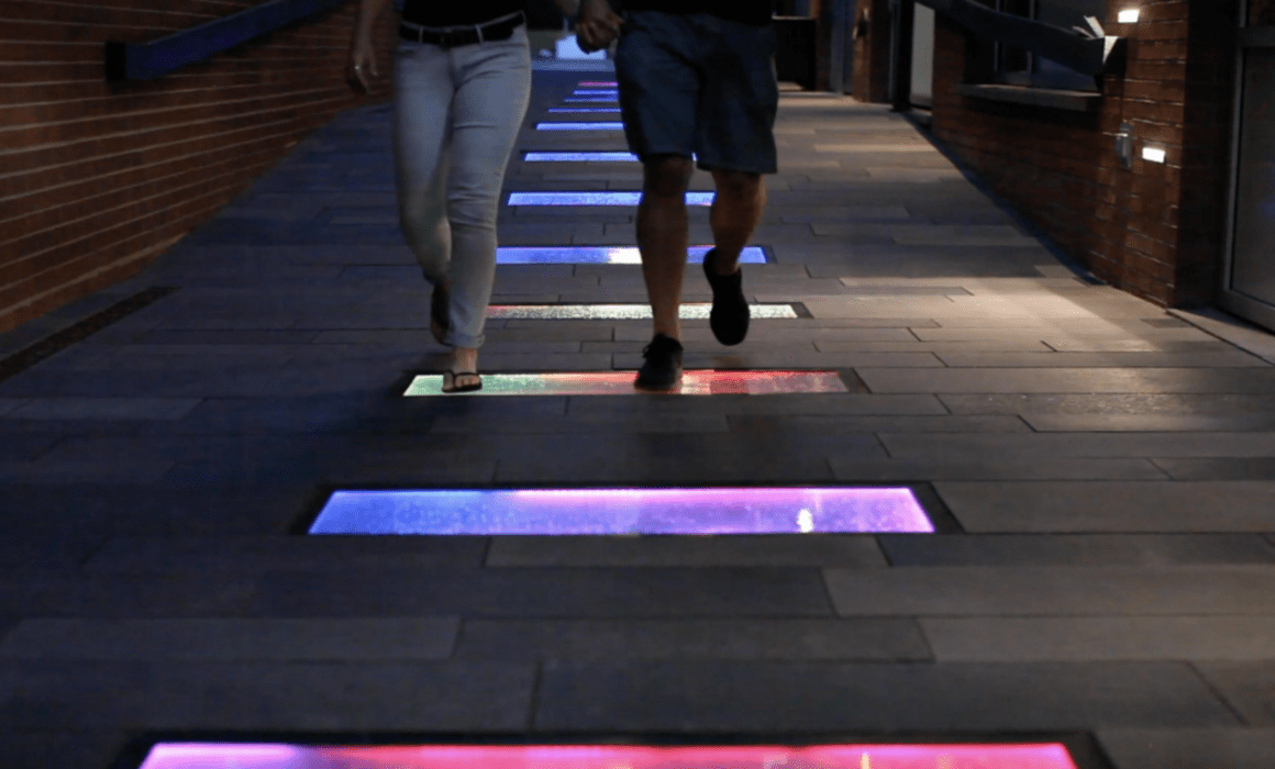 Interactive Landscape