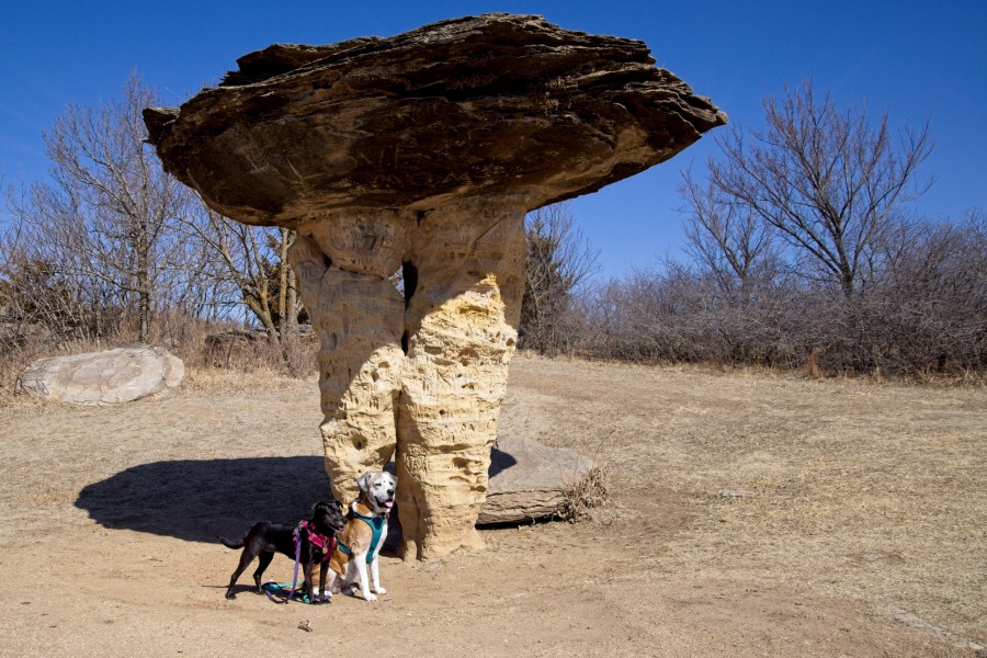 A medium sized black dog and a white and tan dog standing in front of a mushroom shaped rock.