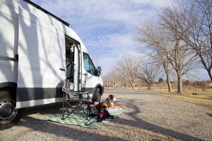 White van with the sliding door open with a camping chair, blanket, and two dogs laying on dog beds. It's a sunny day with blue sky.