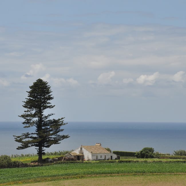 House on the coast