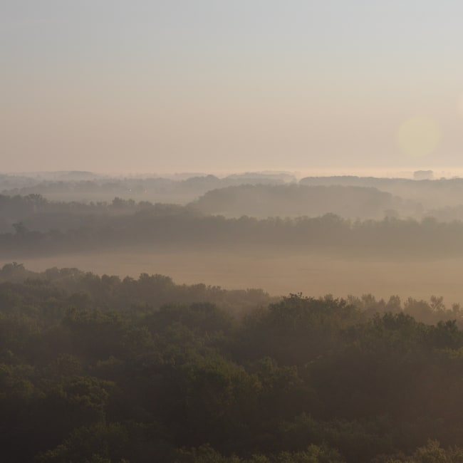 Morning fog