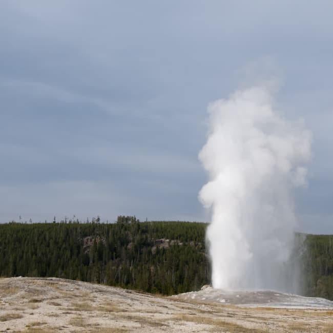 Old Faithful, Yellowstone National Park