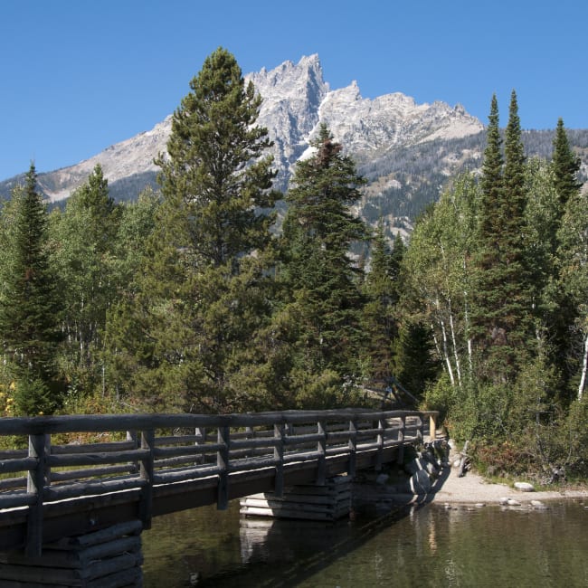 A Bridge Across Jenny Lake, Grand Teton National Park