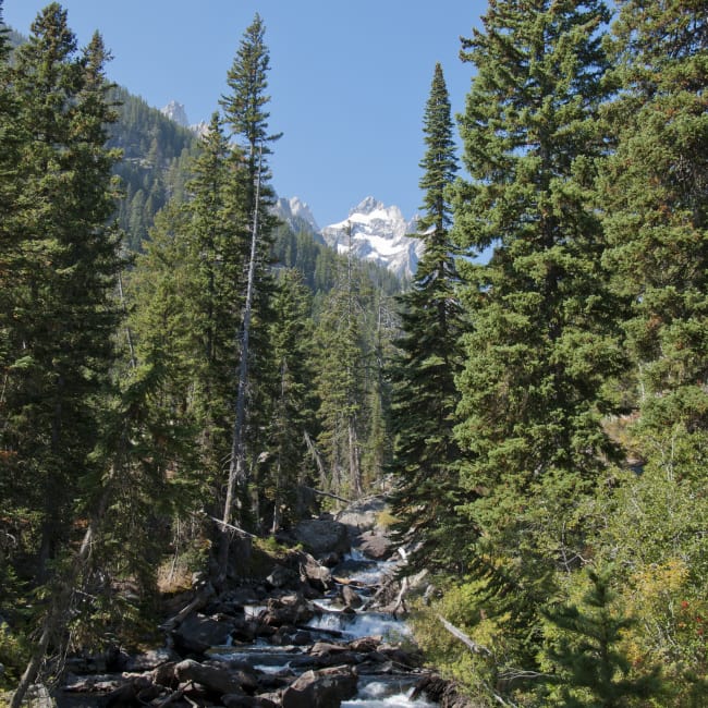 Waters rushing through Grand Teton National Park