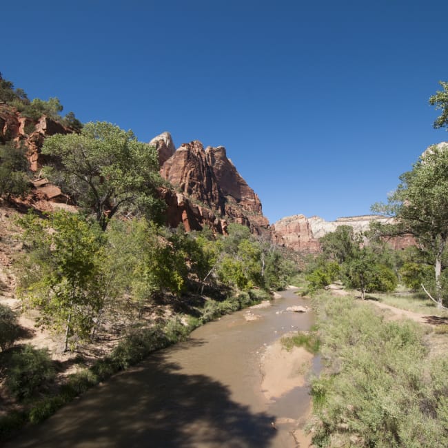 The Virgin River, Zion National Park