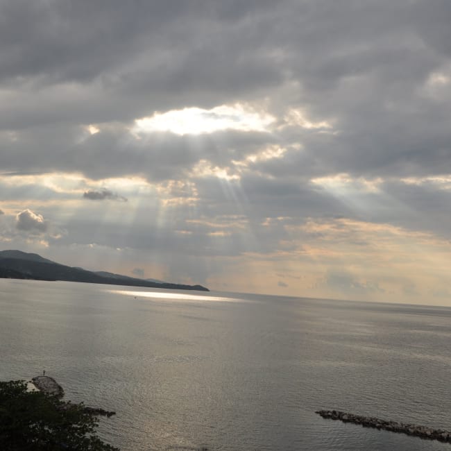 Sun rays