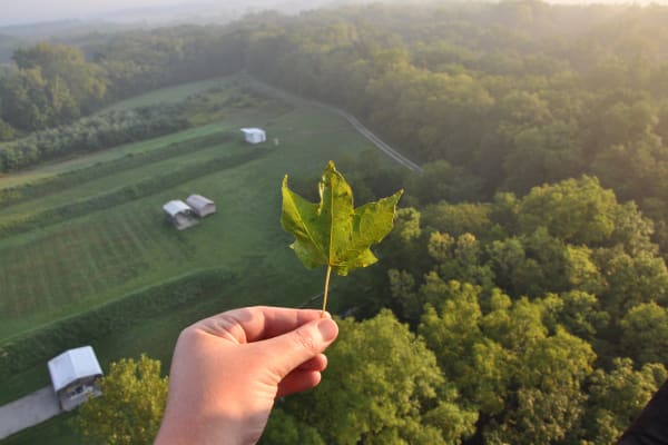 Hot Air Balloon Ride
