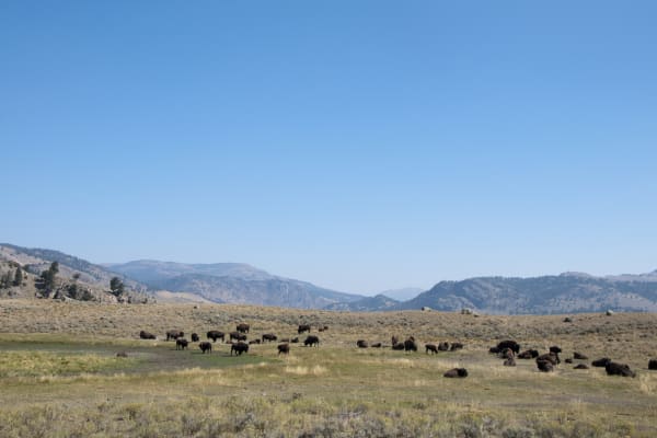 National Parks Roadtrip