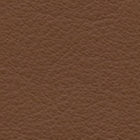 American Bridle Leather in Ranch Brown — Masada Leather