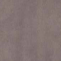 TVT12 Stone