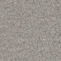Dinamica Grey