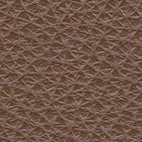 Cori Copper