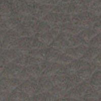 Velaro Grey