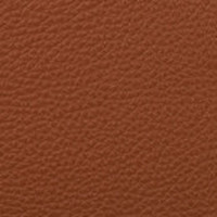 Chestnut 228 Leather