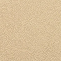 Sand 219 Leather