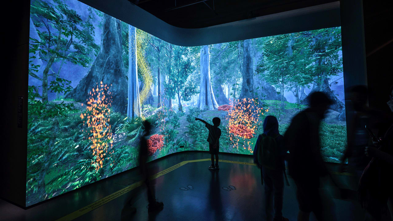 Visitors at the curved wraparound projection wall of a Bornean rainforest in the 'In Harmony with Nature' gallery.