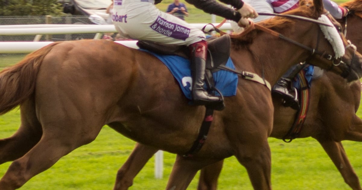 Famous Racehorses Throughout the Years!