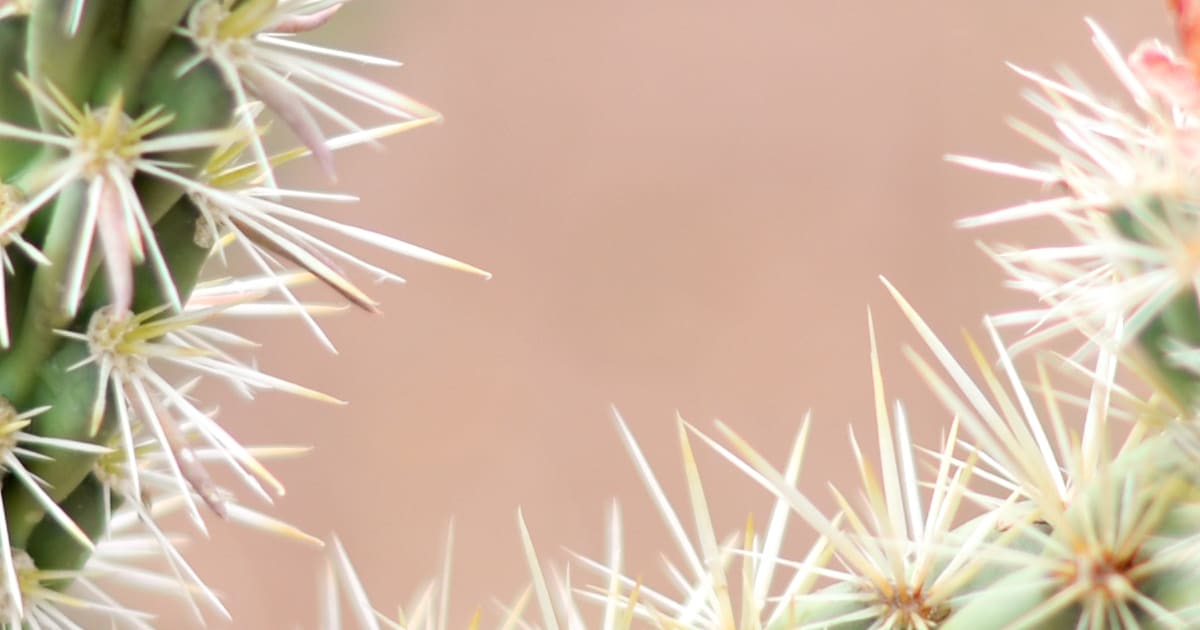 Lifehacks for Removing Splinters