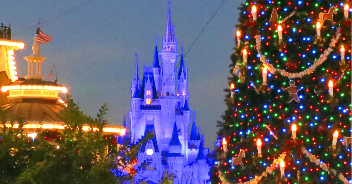 A Disney Winter Wonderland!