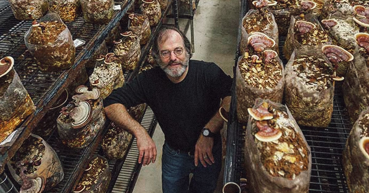 Mushroom Scientist Paul Stamets Interview