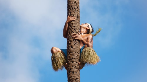 Let's have a Bush Beer at the Secret Pub