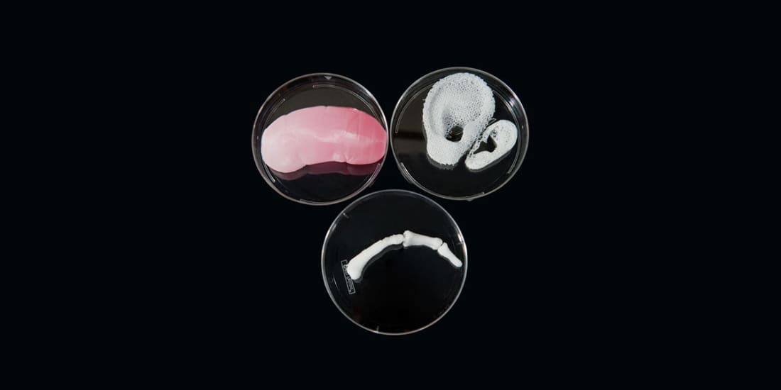 3D Organ Printing is the Future of Successful Transplants ...