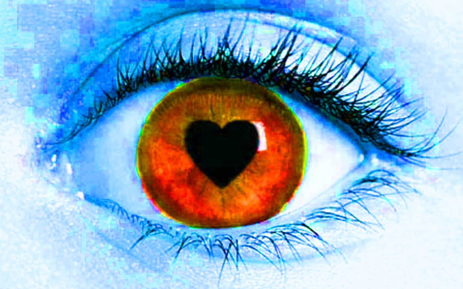 Is Love At First Sight Real? Humans