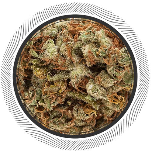 Marijuana Margarita Recipe Potent